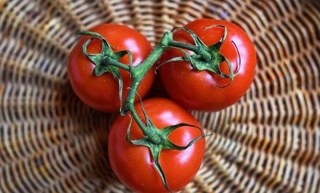 Pozyskiwanie nasion pomidorów