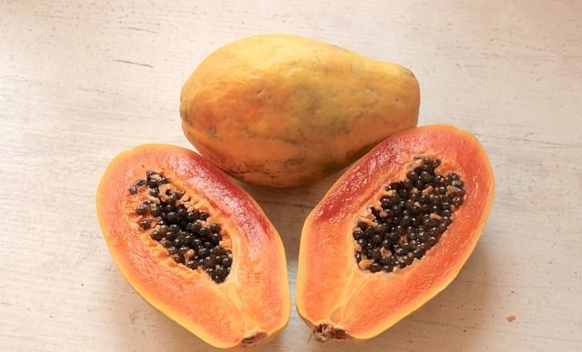 Papaya – uprawa z nasion w doniczce