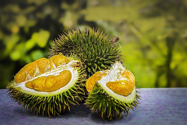 Durian – owoc z niebiańskim smakiem i piekielnym zapachem